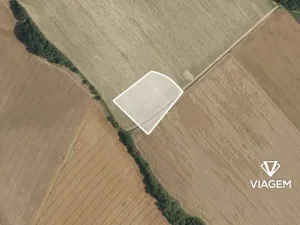 Prodej pole, Rapotín, 3638 m2