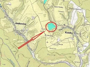 Prodej podílu lesa, Košíky, 8165 m2