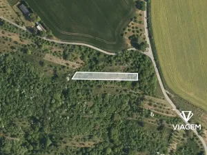 Prodej zahrady, Halenkovice, 765 m2