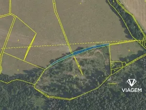 Prodej podílu lesa, Čím, 13775 m2