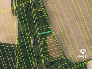 Prodej podílu lesa, Bystřice pod Hostýnem, 597 m2