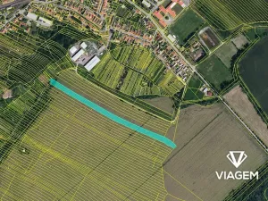 Prodej pole, Moravská Nová Ves, 10112 m2