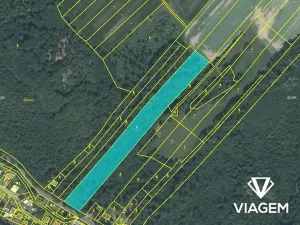 Prodej lesa, Horní Lhota, 11423 m2