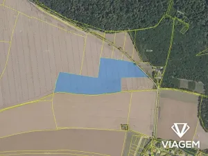 Prodej podílu pole, Sedlec, 5821 m2