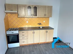 Pronájem bytu 1+1, Děčín, Škroupova, 44 m2