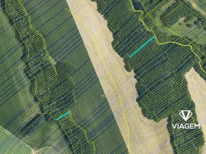 Prodej podílu lesa, Popovice, 735 m2