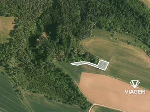 Prodej podílu lesa, Kokořín, 1843 m2