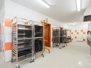 Pronájem výrobních prostor, Zlonín, Hlavní, 50 m2