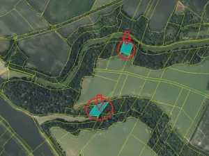 Prodej lesa, Vysoká, 5445 m2