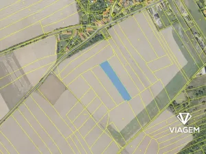 Prodej podílu pole, Oleška, 1798 m2