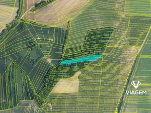 Prodej podílu lesa, Kyjov, 1102 m2