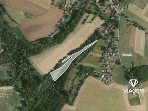 Prodej lesa, Hněvkovice, 3744 m2