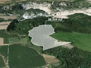 Prodej podílu lesa, Suchomasty, 10818 m2