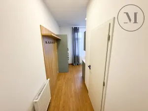 Pronájem bytu 1+kk, České Budějovice, Družstevní, 30 m2