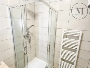 Pronájem bytu 1+kk, České Budějovice, Družstevní, 30 m2