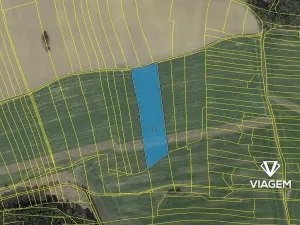 Prodej podílu pole, Třebějice, 1371 m2
