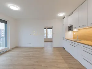 Pronájem bytu 2+kk, Olomouc, Aloise Rašína, 55 m2