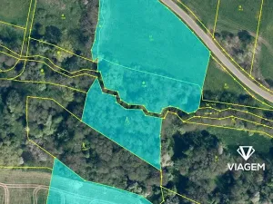 Prodej podílu lesa, Kravaře, 854 m2