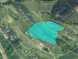 Prodej louky, Potštejn, 52202 m2