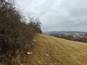 Prodej louky, Letovice, 34048 m2