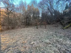 Prodej louky, Malé Kyšice, 3723 m2