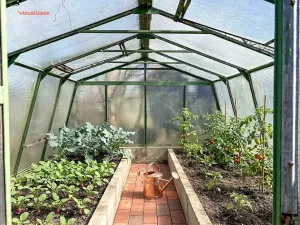 Prodej chaty, Vysoké Mýto, Vinice, 17 m2