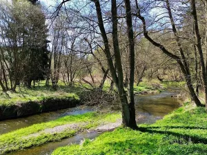 Prodej chaty, Všechlapy, 50 m2