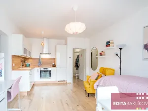 Pronájem bytu 1+kk, Olomouc, Eduarda Hamburgera, 33 m2