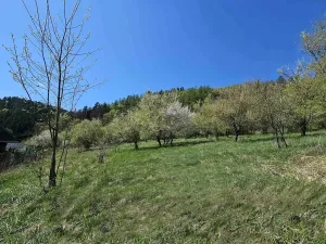 Prodej pozemku pro bydlení, Štěpánov nad Svratkou, 3802 m2