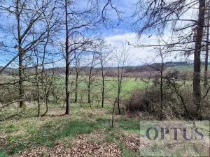 Prodej pozemku pro bydlení, Neveklov, 3385 m2