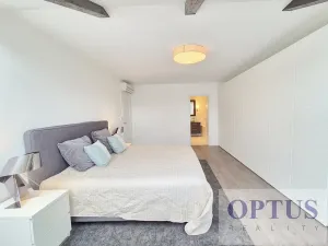 Pronájem bytu 6+kk a větší, Praha - Staré Město, Dušní, 218 m2