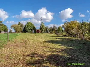 Prodej pozemku pro bydlení, Spálené Poříčí, 4447 m2