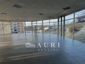 Pronájem obchodního prostoru, Rakovník, Dukel. hrdinů, 412 m2