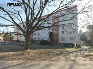 Pronájem bytu 2+1, Praha - Malešice, Troilova, 53 m2