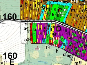 Dražba lesa, Skalice, 7441 m2