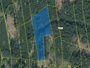 Dražba lesa, Psárov, 5348 m2