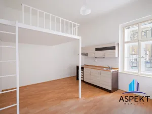 Pronájem bytu 1+kk, Praha - Vinohrady, Jana Masaryka, 32 m2