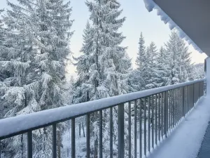 Prodej bytu 3+kk, Loučná pod Klínovcem, 60 m2