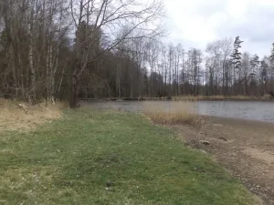 Prodej pozemku, Chlum u Třeboně - Lutová, 6727 m2