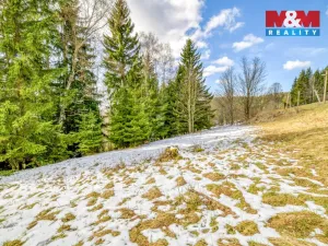 Prodej pozemku pro bydlení, Jáchymov - Suchá, 744 m2