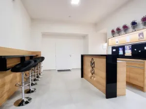 Pronájem komerční nemovitosti, Brno, Sukova, 233 m2