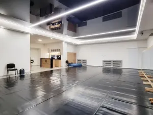 Pronájem komerční nemovitosti, Brno, Sukova, 233 m2