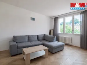 Pronájem bytu 1+1, Luby, Tovární, 38 m2