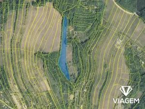 Prodej podílu pole, Košíky, 1691 m2