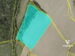 Prodej lesa, Kačlehy, 5447 m2