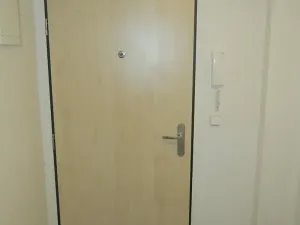 Pronájem bytu 1+kk, Brno, Pastviny, 32 m2