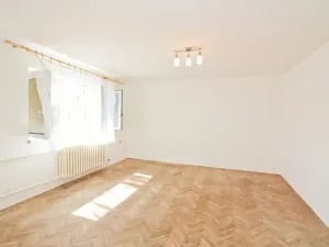 Pronájem bytu 1+1, Dolní Rožínka, 30 m2