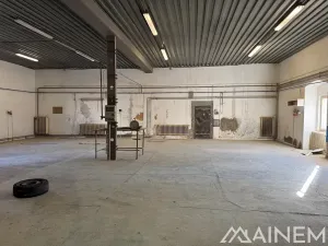 Pronájem výrobních prostor, Bezděkov, 538 m2