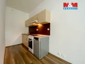 Pronájem bytu 1+kk, Lovosice, Osvoboditelů, 39 m2