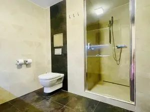 Pronájem kanceláře, Brno, Cihlářská, 38 m2